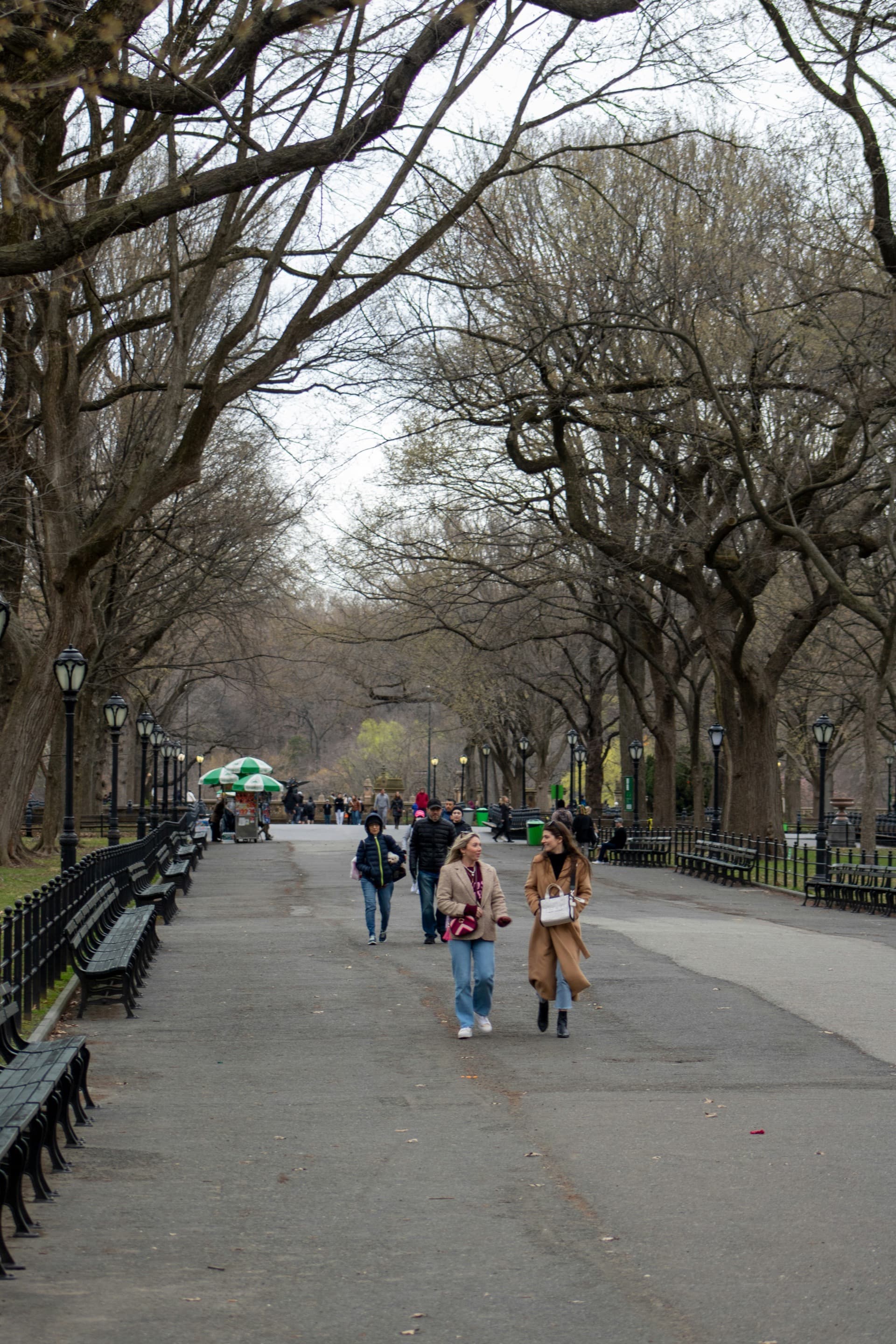 Express Ride — Central Park pedicab tour